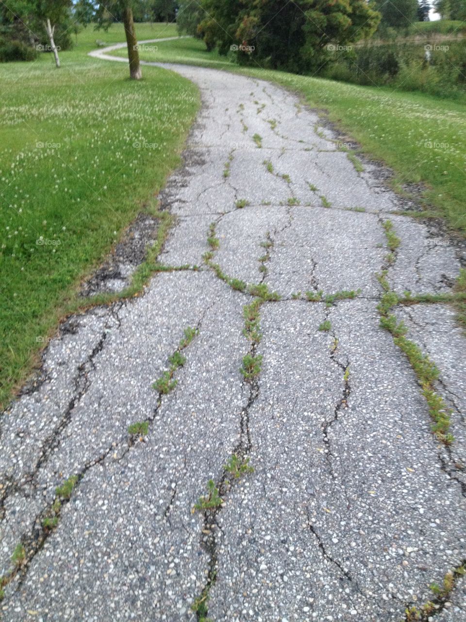 Cracked path