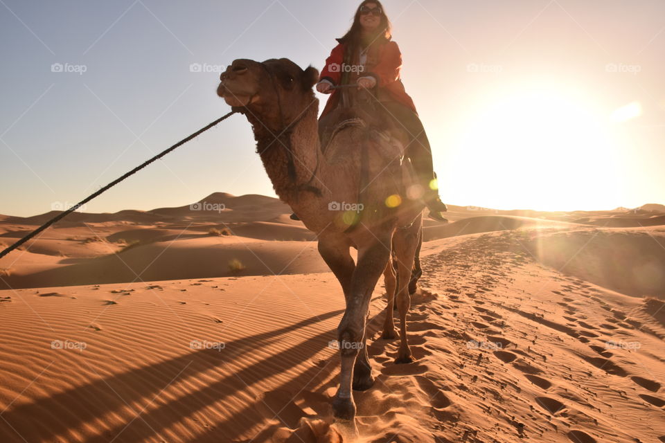 Woman riding dromedary at Sahara desert sunset, Morroco