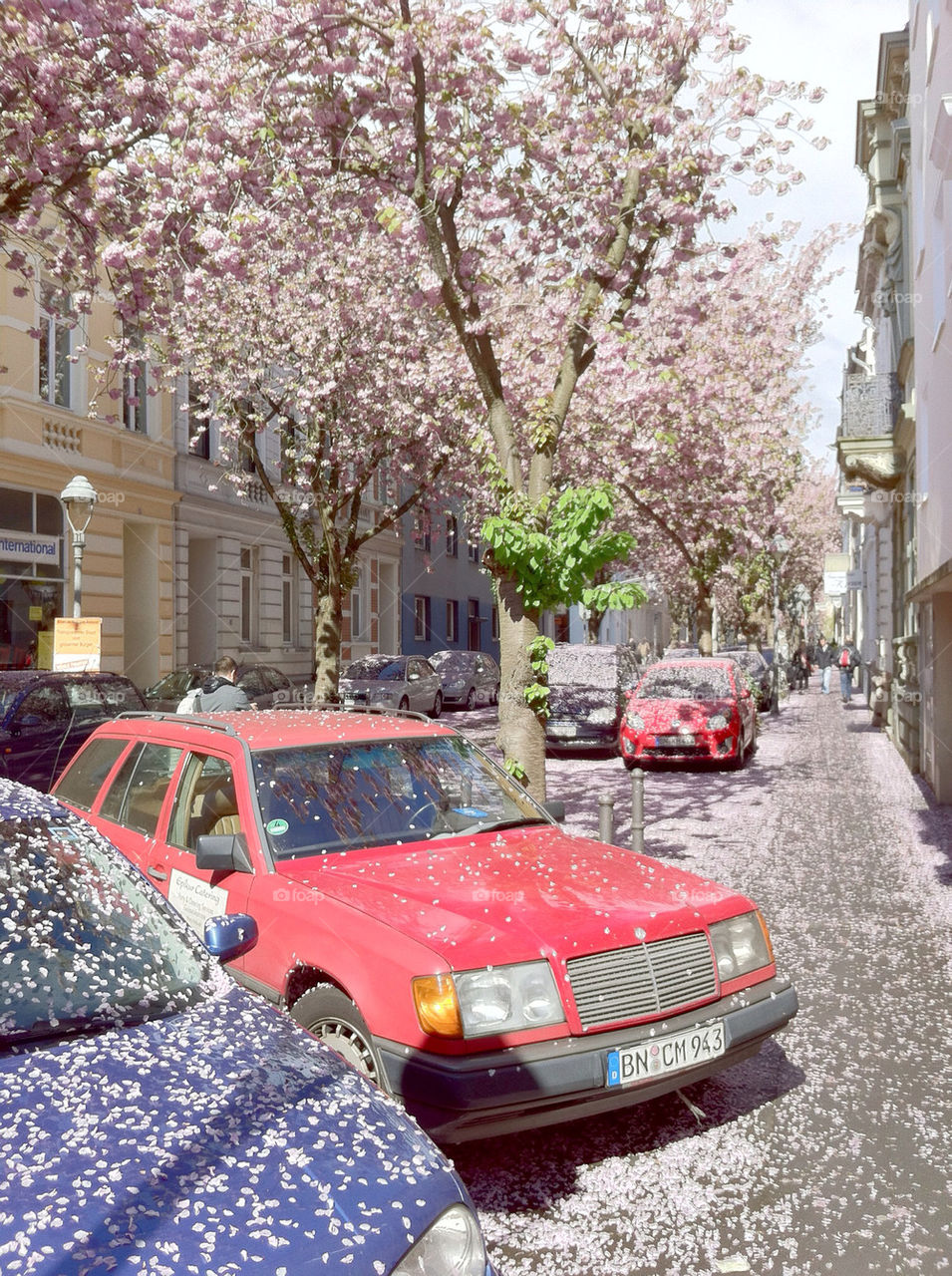 spring city sunny blossom by trbgnnr