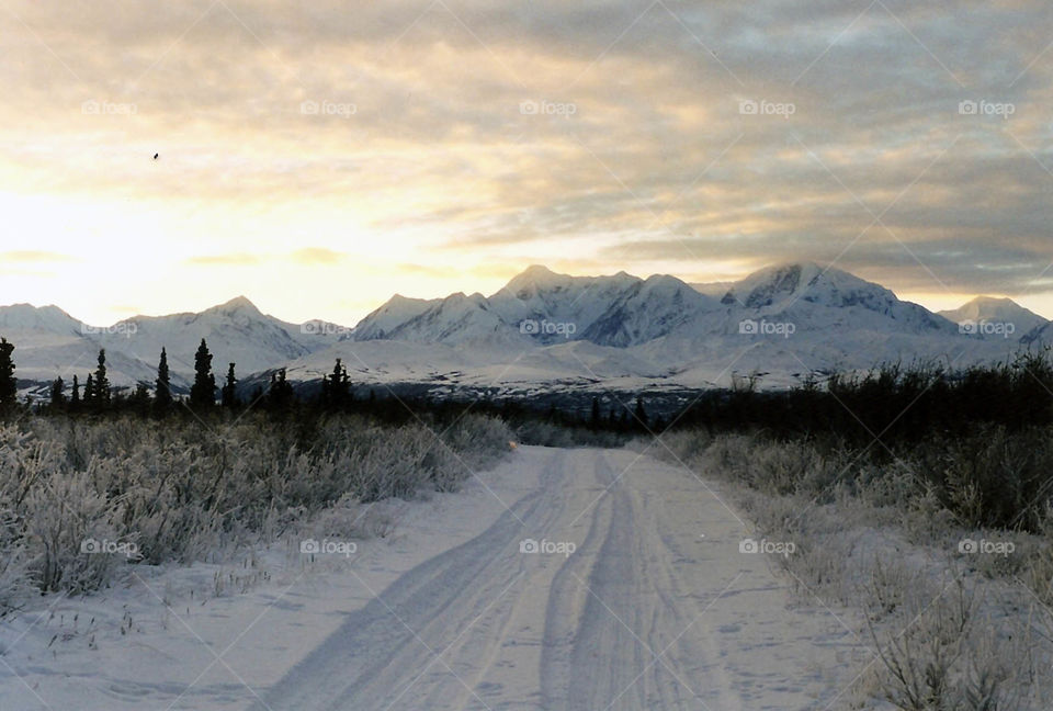 AM Range Winter. Drive out of Delta Junction AK to a great snowshoe spot.