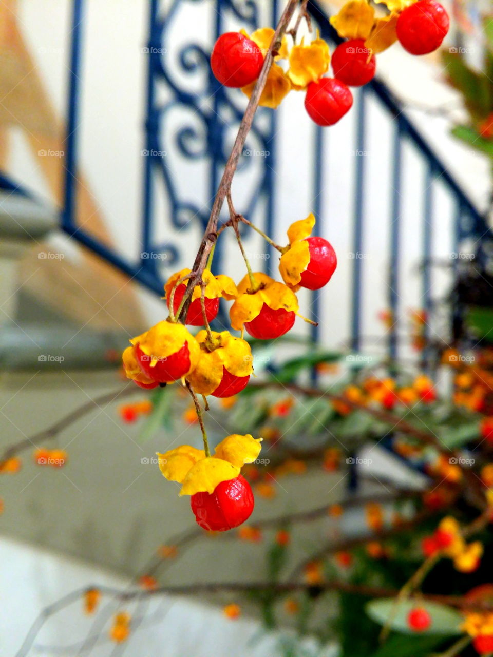 An exotic flower arrangement.