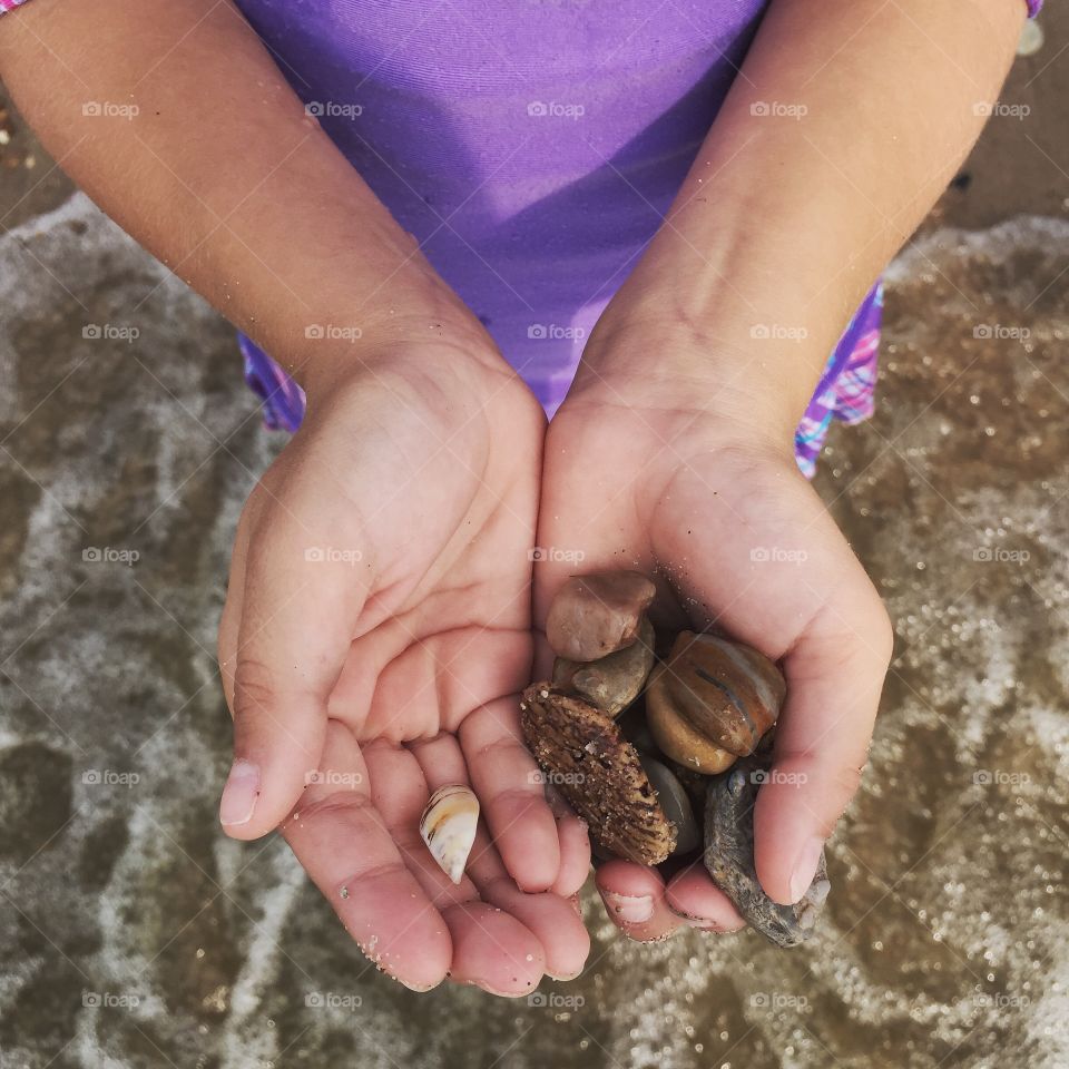 Beach Treasures