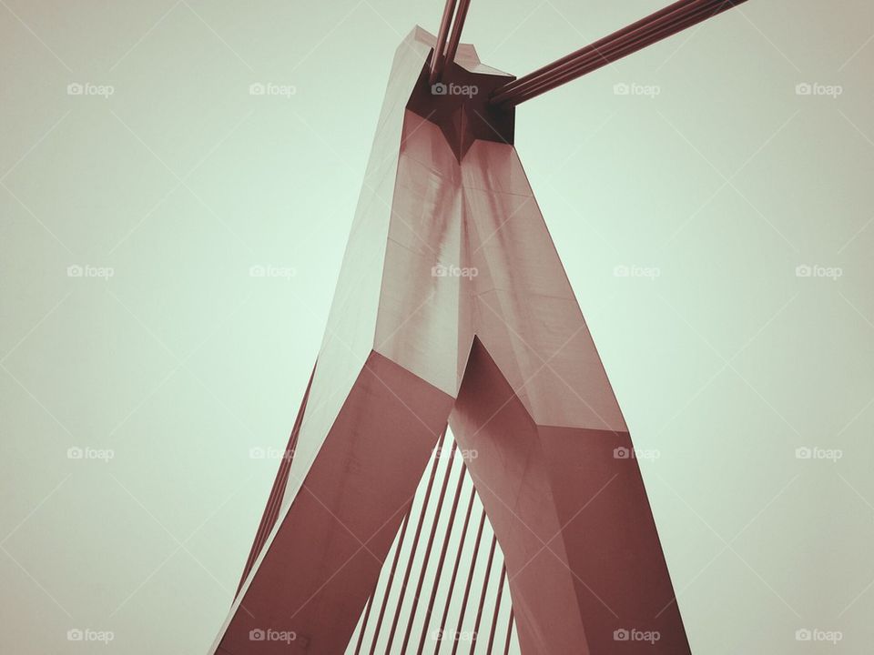 Erasmus Bridge