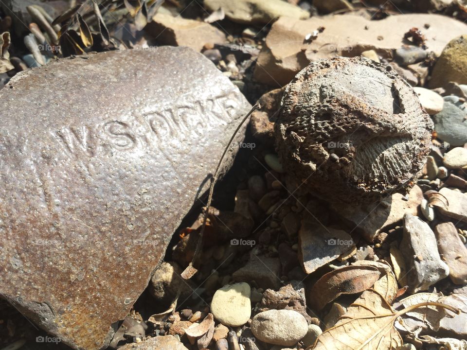 Blue Branch Creek Views
