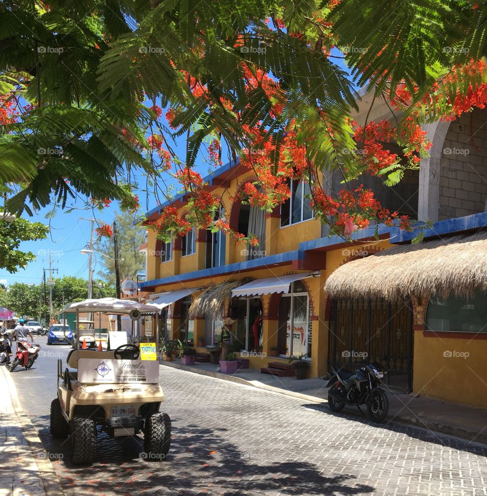 Isla Murjes street