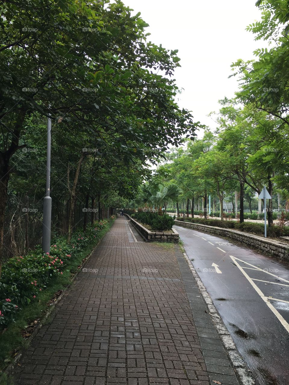 Urban View: Hong Kong