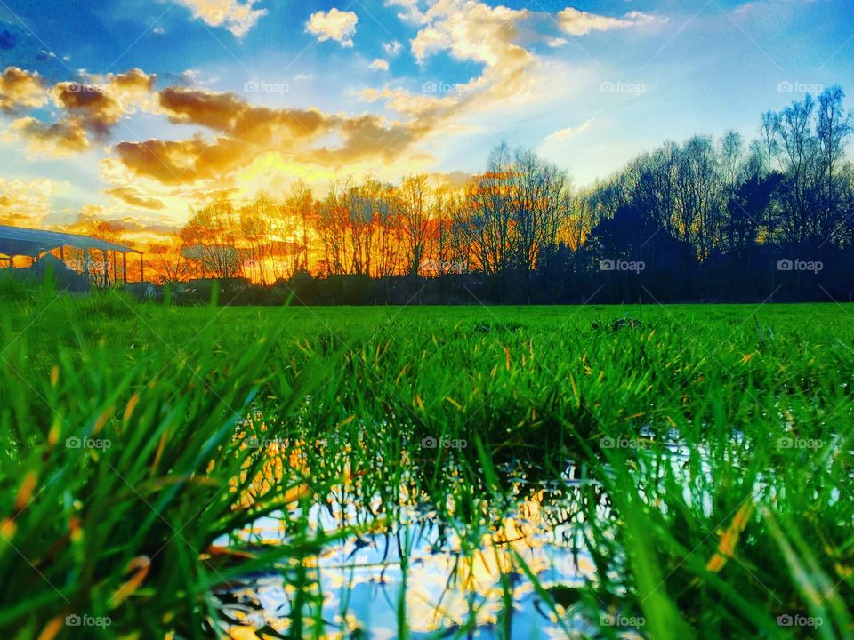 Colorful and dramatic sunset reflected in the water of a puddle in the meadows