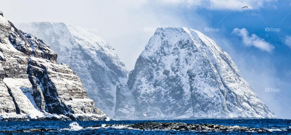Massive snow covered cliffs rising from the Arctic sea in Northern Norway.