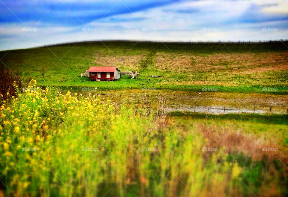 Little House on the Hill