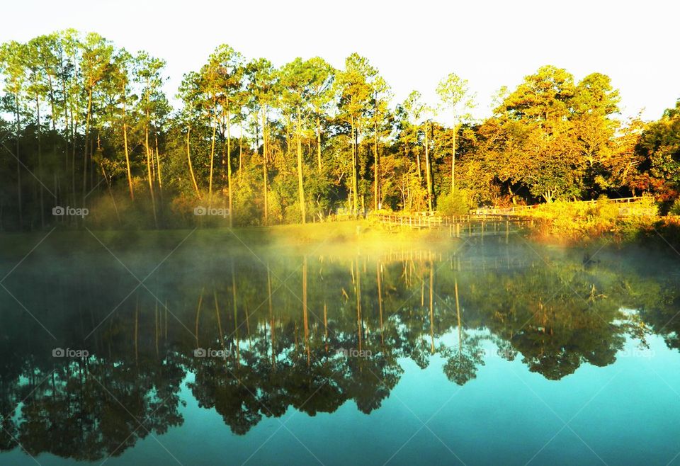 Brandt Pond Sunrise