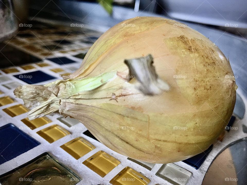 A golden onion- the best vegetable. It makes any dish better, whether it is lasagna, onion rings next to your burger or on your burger, on a hot dog, and so much more. I love cooking with this vegetable 🧅