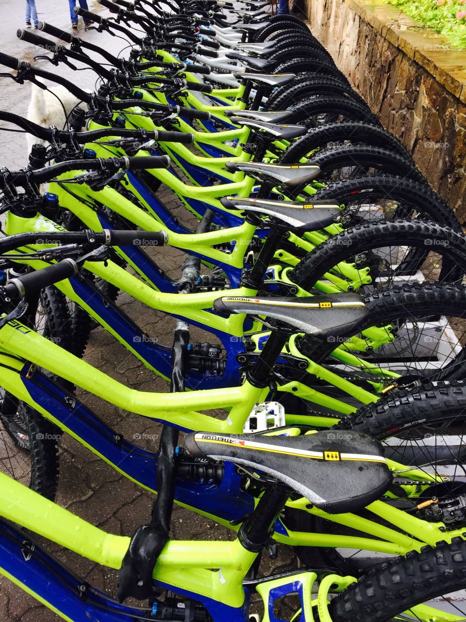 Bicycle Rental Rack, Whistler BC