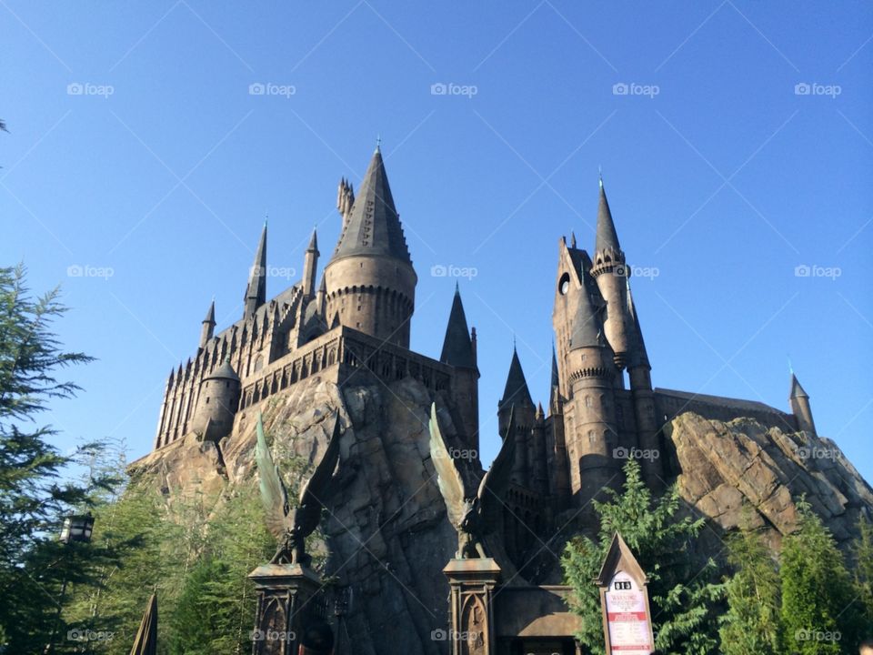 castle. hogwarts castle Orlando florida