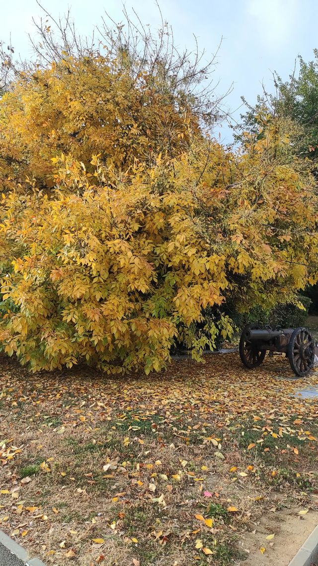 golden tree