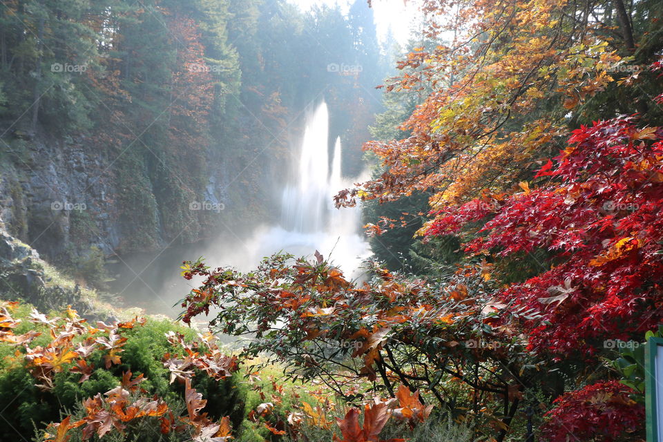 Gardens in autumn 