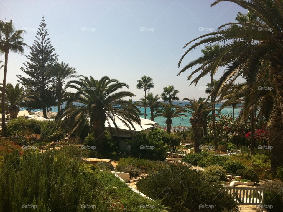 Nissi Beach Resort @ Cyprus ❤️