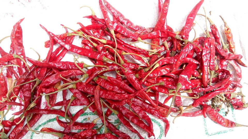 Indian red chili.. Spices.