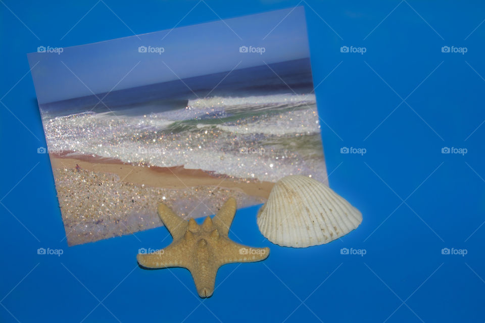 Postcard of sea and waves, seashell and starfish on a blue background. Beautiful summer concept with space for text