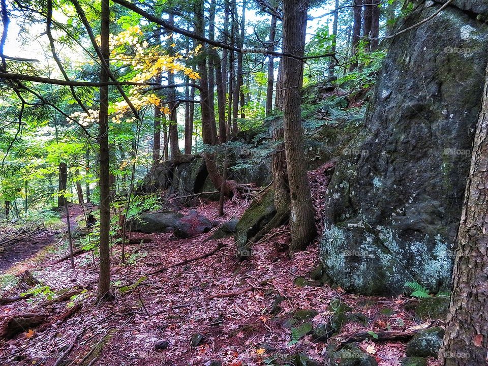 Hiking Rougemont Québec 