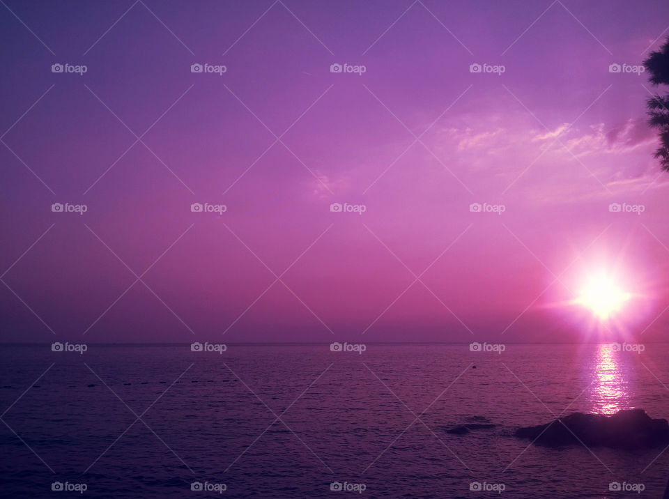 pink sunset and sea. horizon