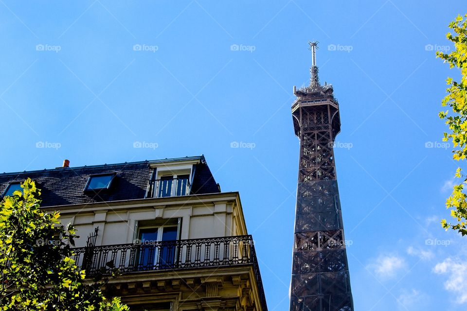 the facade of the house 