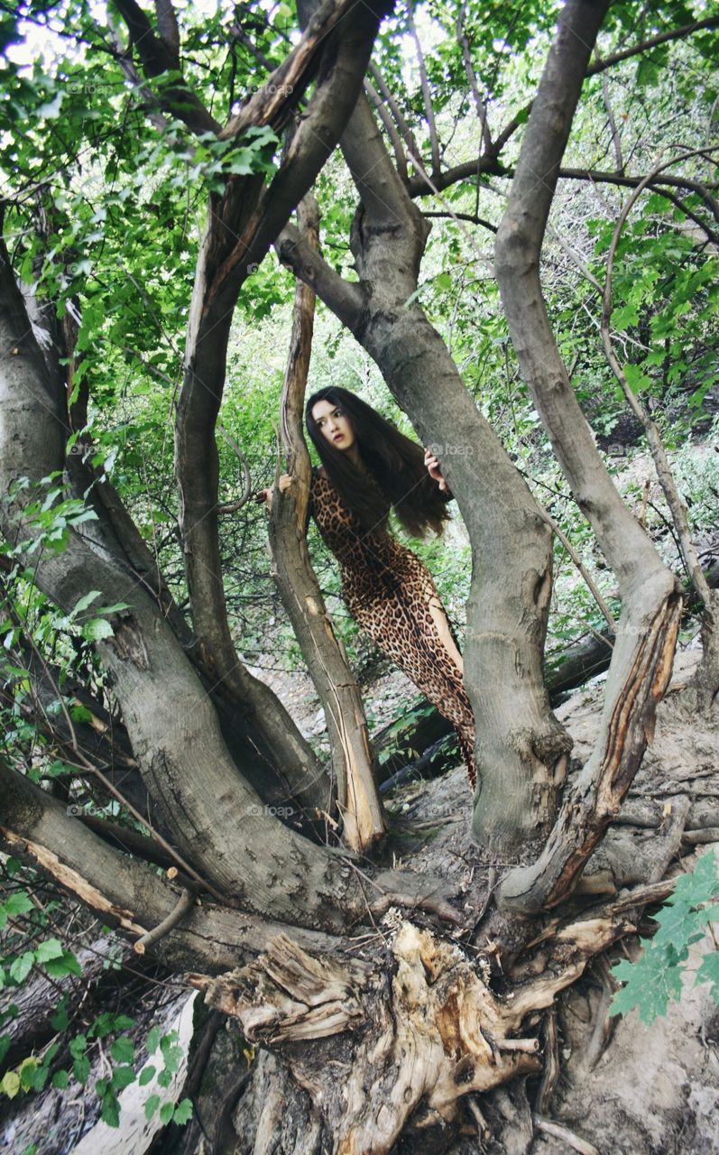 Woman peeking from tree branch