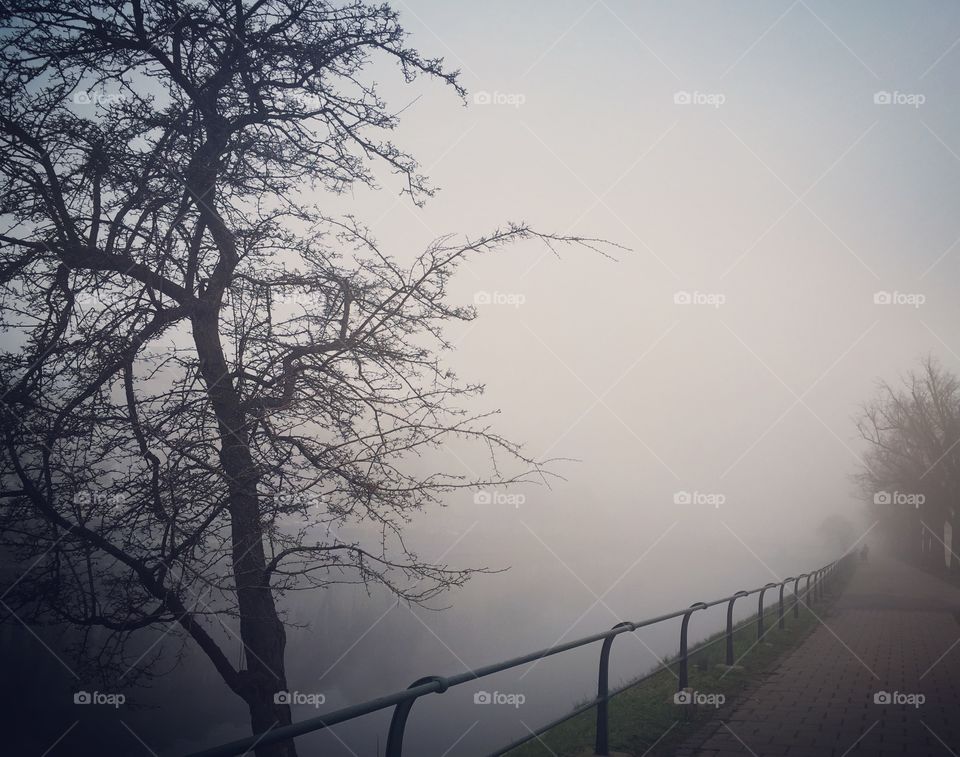 Pedestrian walkway and railing in foggy weather