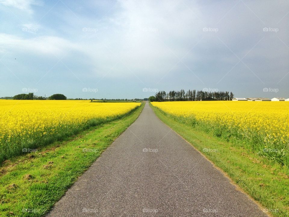 Empty road against sky