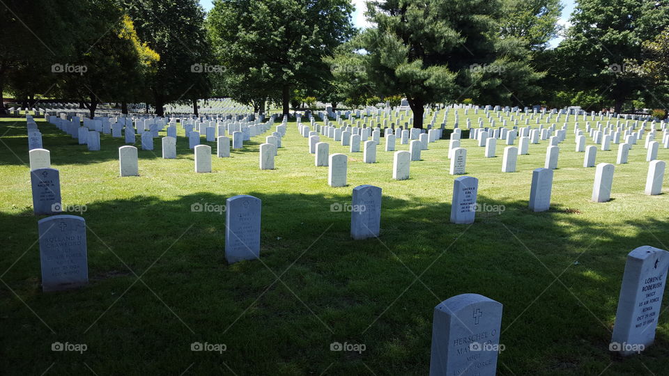 national cemetary rows
