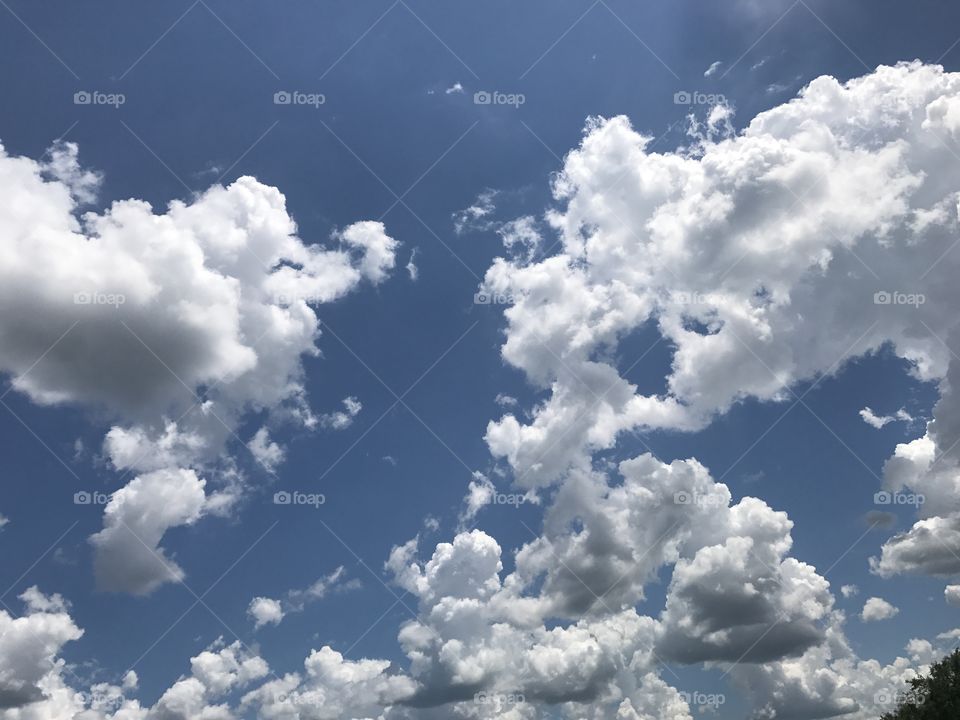 Blue Sky White Clouds