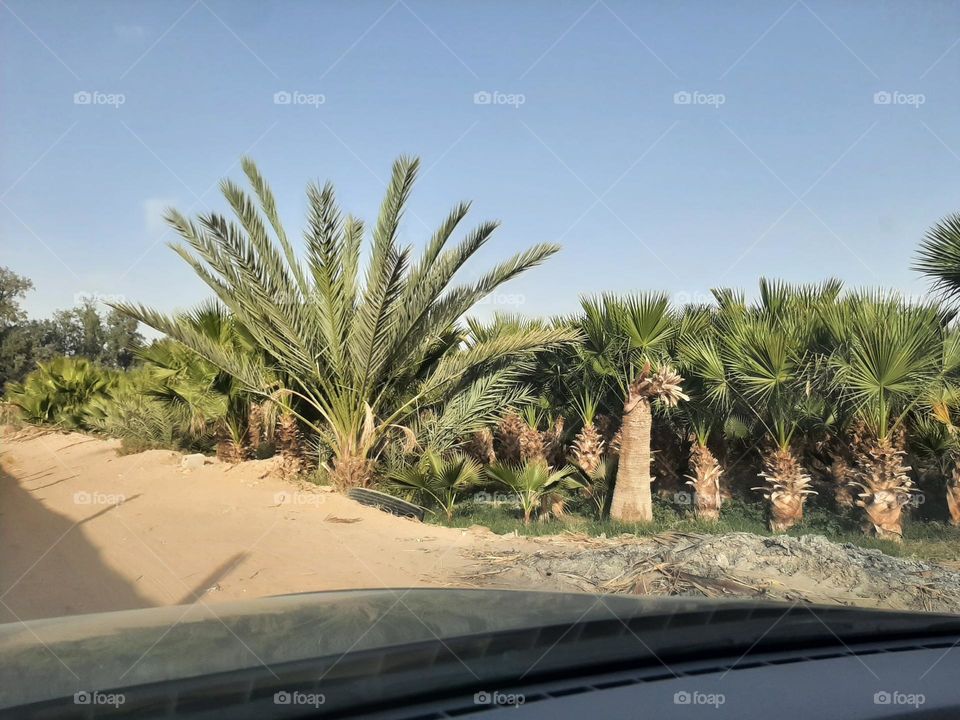 Please make me happy, I am poor, I need your help with support