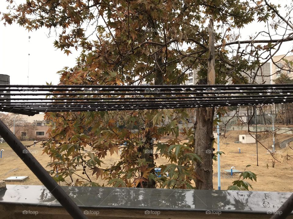 Drying raindrops on a clothes drying rack. Only angels know what pegs to use. 