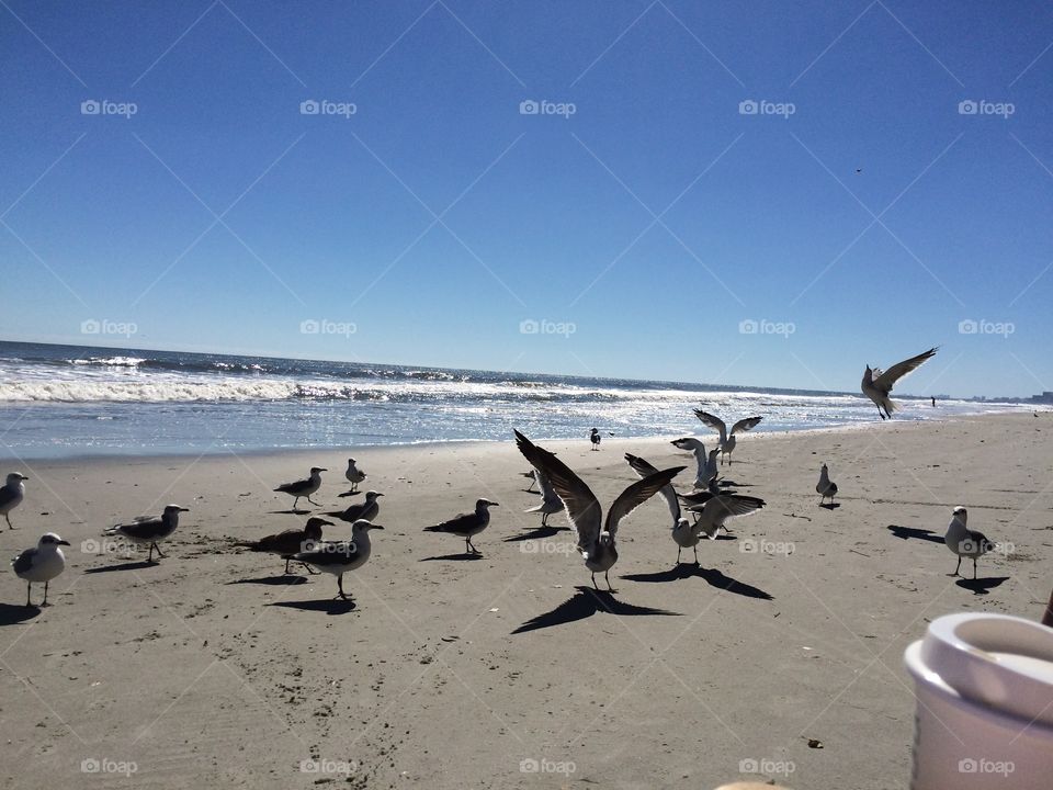 Beautiful beach