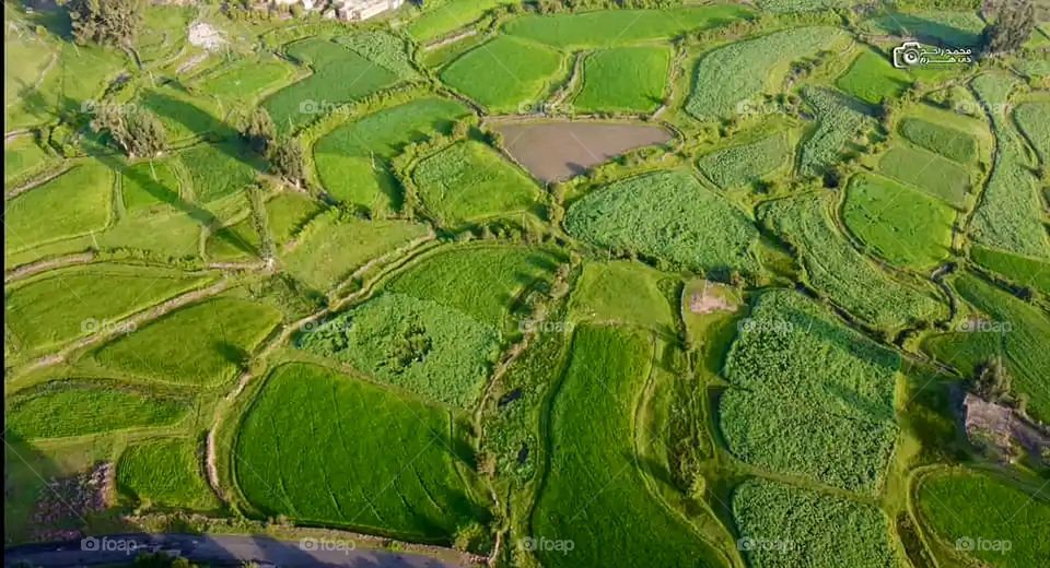 Glory be to God, the magnificent and picturesque view and the natural green trees are a view that is nothing more wonderful than it