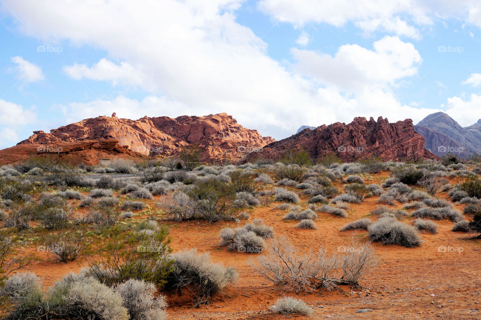 Desert views 