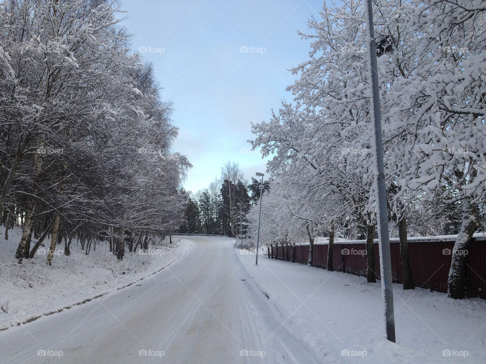 snow trees road by fatmen1