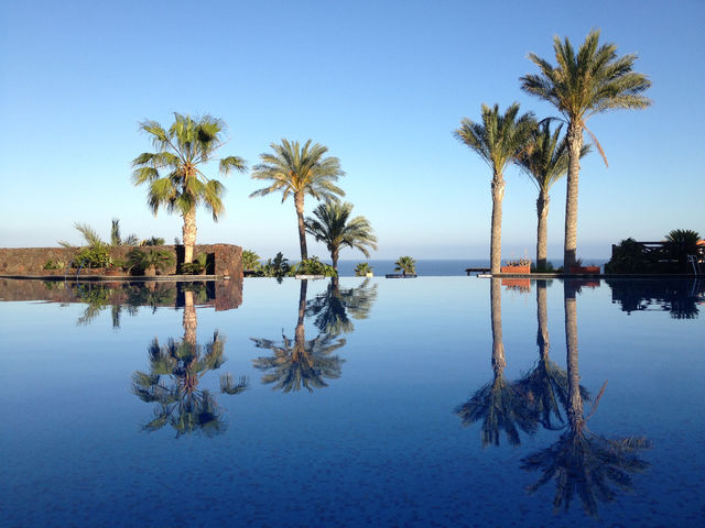 pool fuerteventura palmtree reflexion by DelleDee