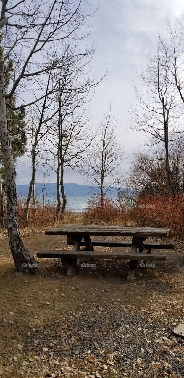 Picnic bench at a scenic destination