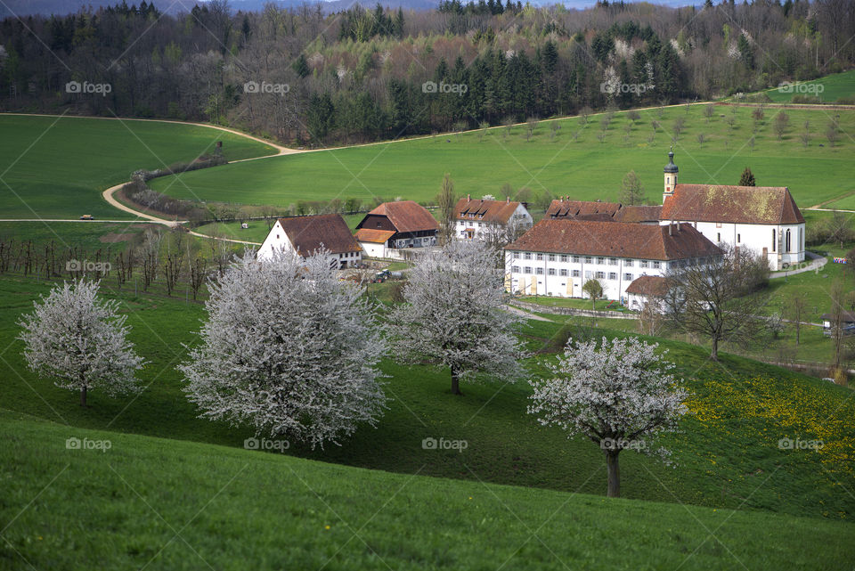 View from above on Olsberg monastery, Switzerland