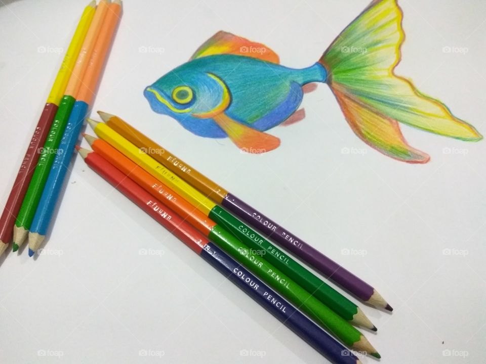 Painting Fish with Fun Pencils