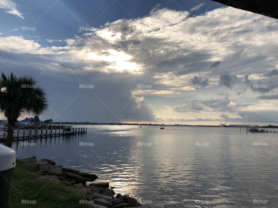 Harbor sunset with palm tree 