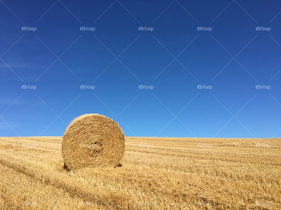 Wheat, Straw, Hay, Cereal, Rural