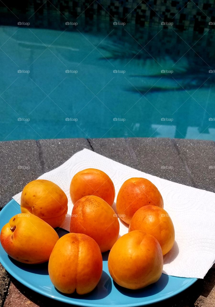 Фрукты абрикосы у бассейна летом