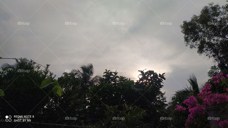 Sun rays escaping the clouds and trees