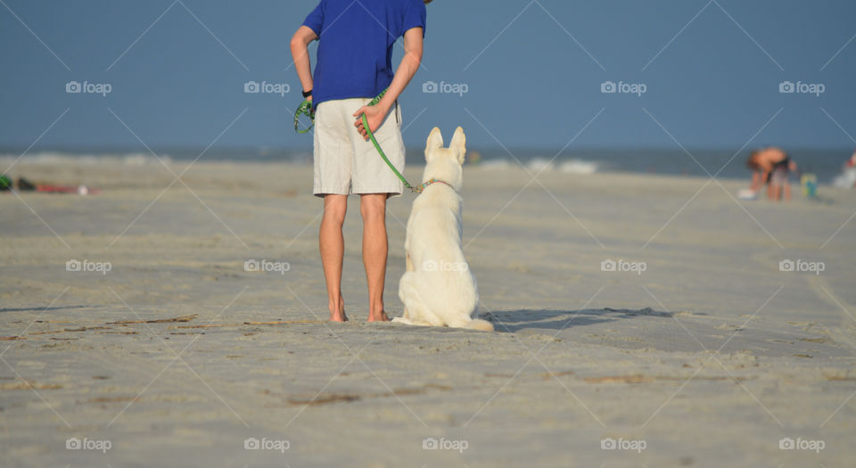 Man works on training techniques while walking his dog on the beach.