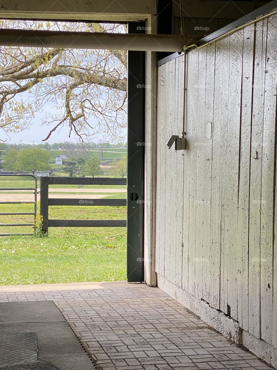 Open Door View 