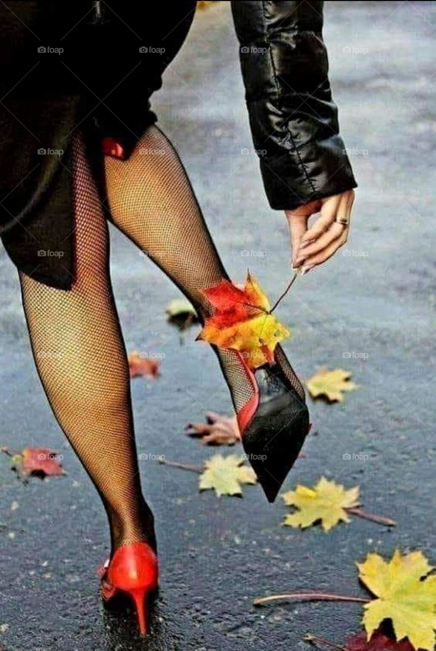 Battle: Summer vs. Fall mission