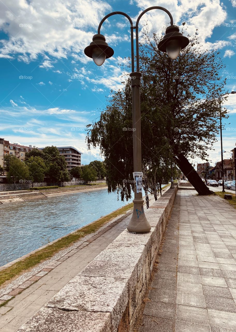 tree on the stetalist
