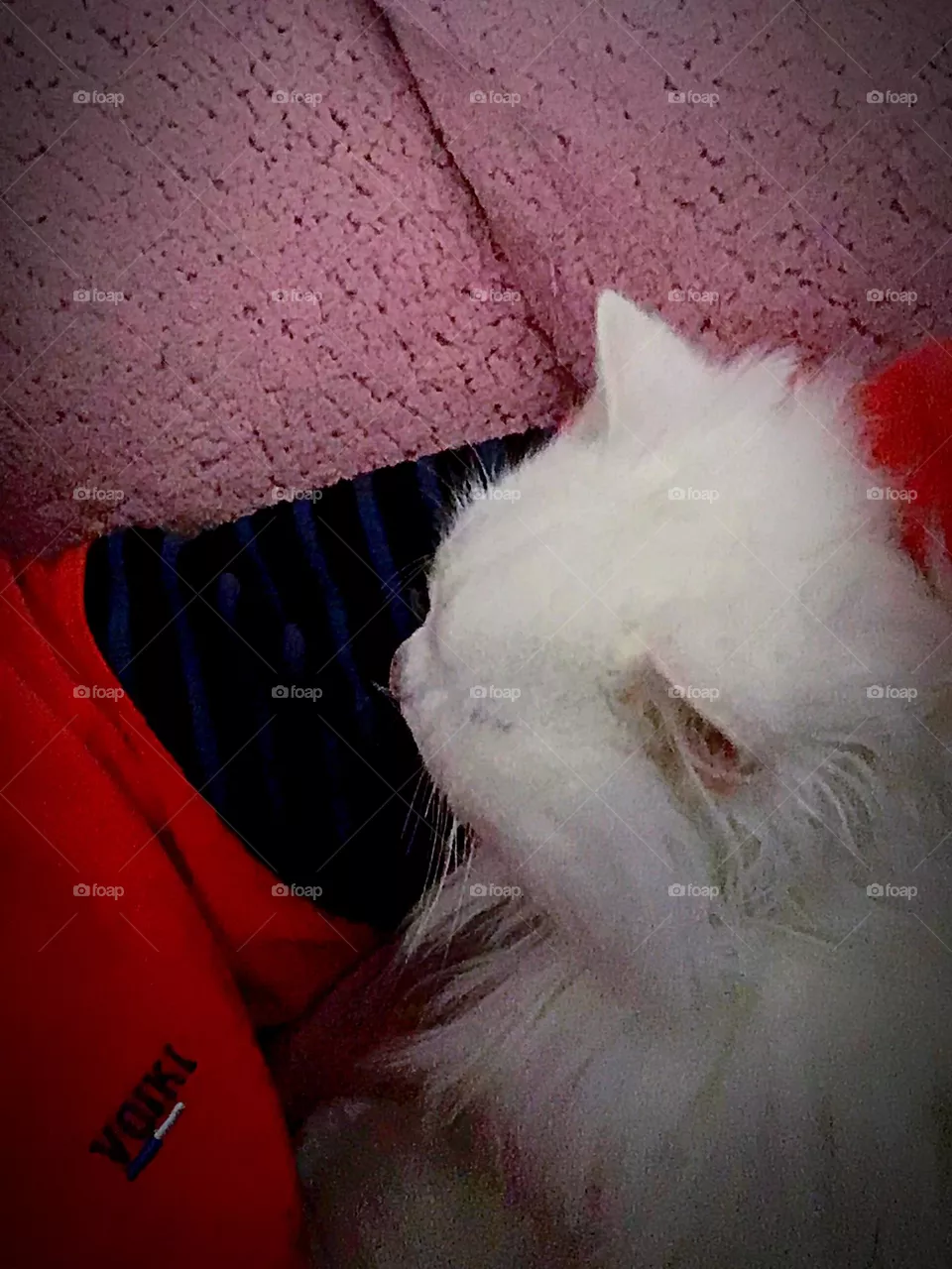 sleeping on my arm