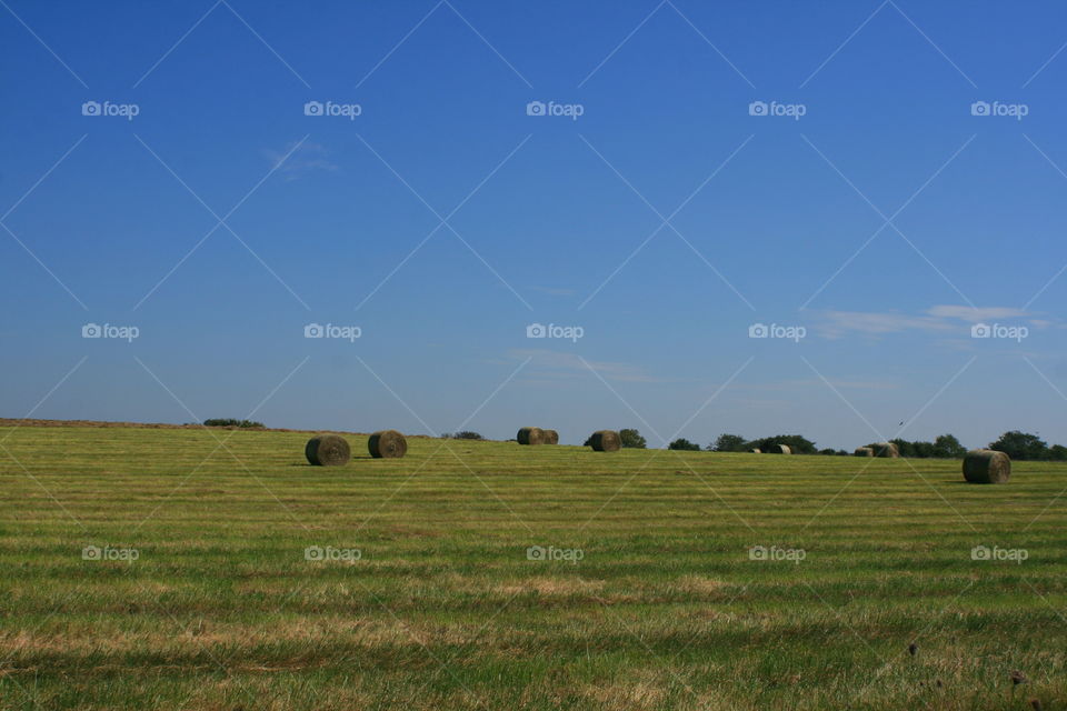 Country Landscape 